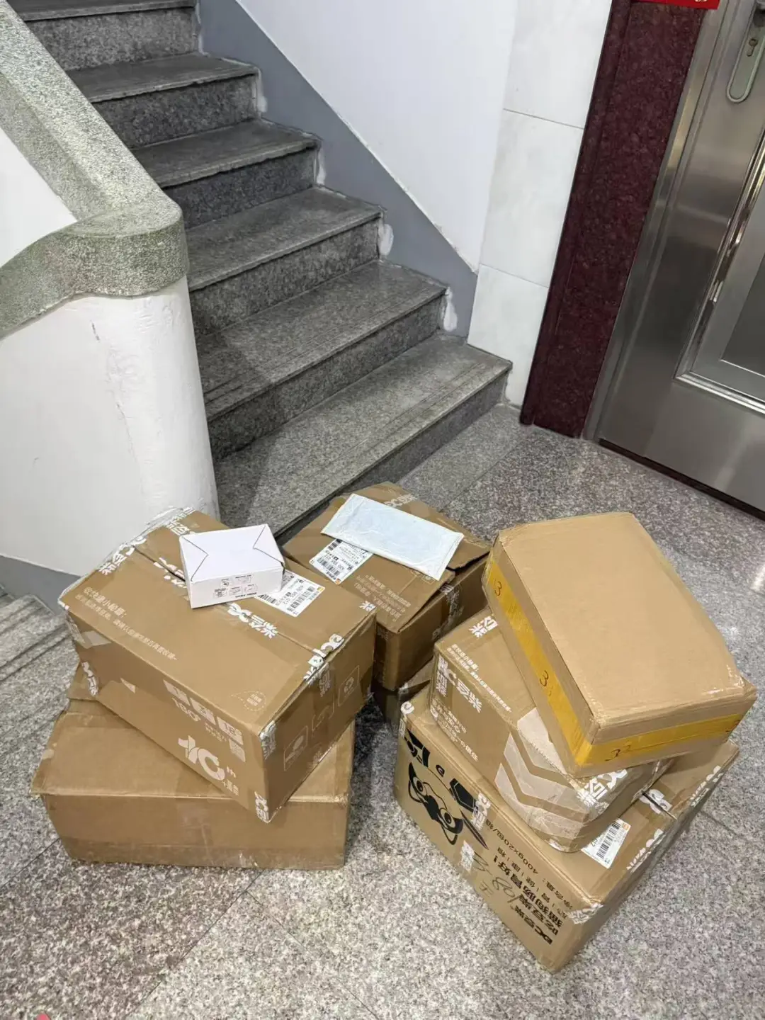 家住步梯八楼养狗的痛！