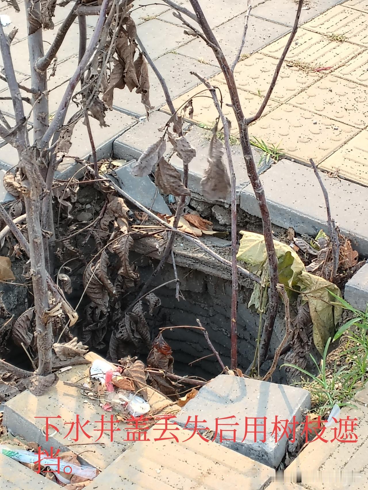 上周傍晚出门遛弯，我险些栽进下水窖里。
那晚吃完晚饭，我出门闲逛，一不留神踩空，