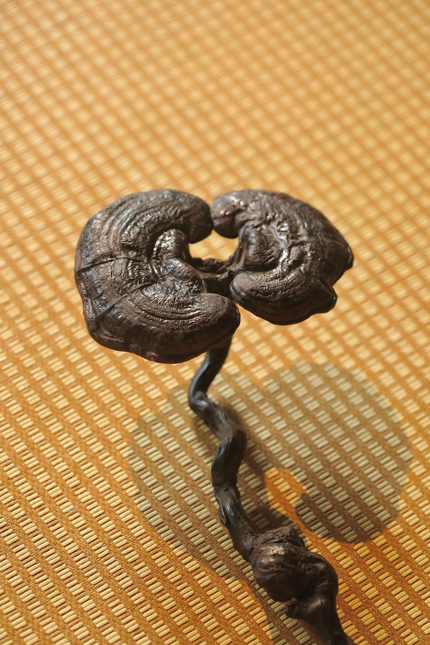 灵芝 | 如意取天然灵芝为头，层叠饱满，肌理苍劲，如山中云气凝结而成；柄身以奇木