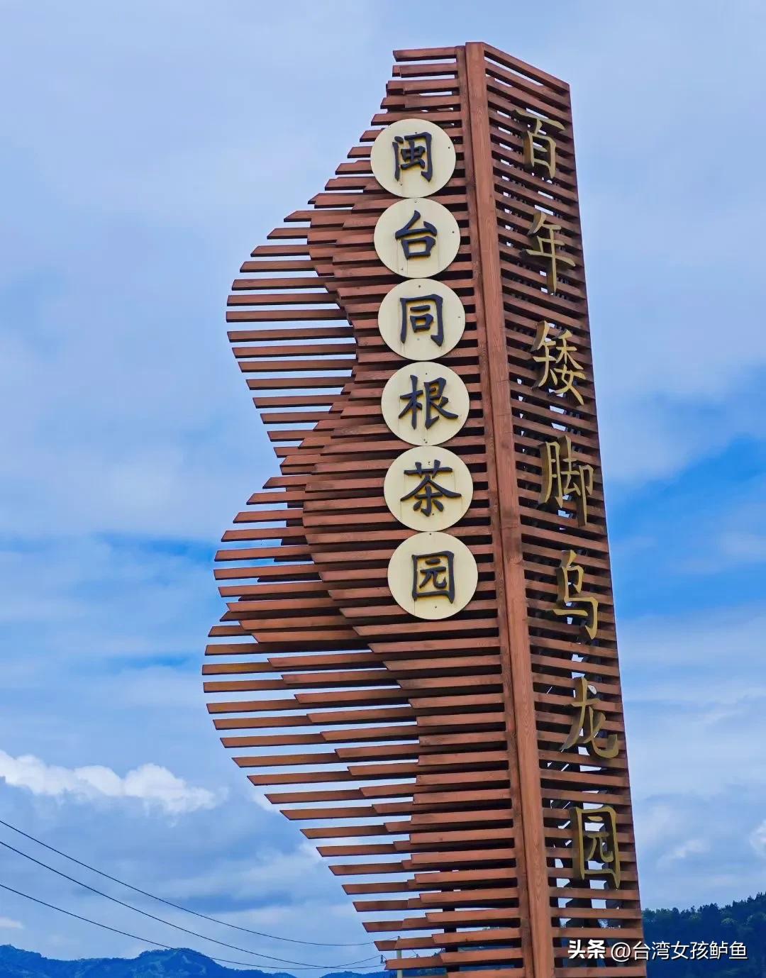 听说台湾茶的茶树是从福建“搬家”过去的，就连生产加工方式也是福建的“孩子”。这次