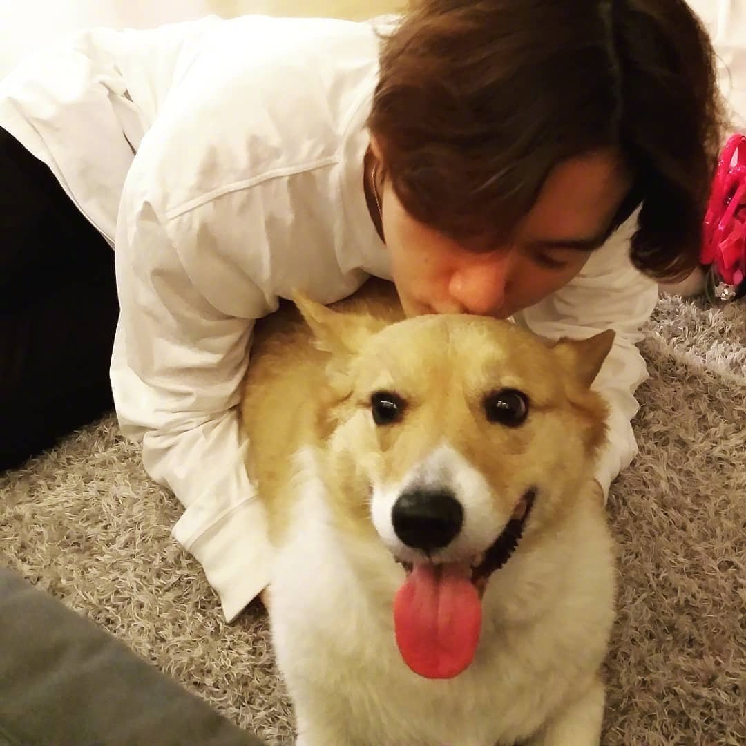 熟悉的地毯上 小咸和梦龙🥰 