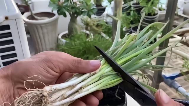 领证第二天，后爸提了句把女儿户口迁过来。隔天，母亲直接把380万的房子过户给了亲