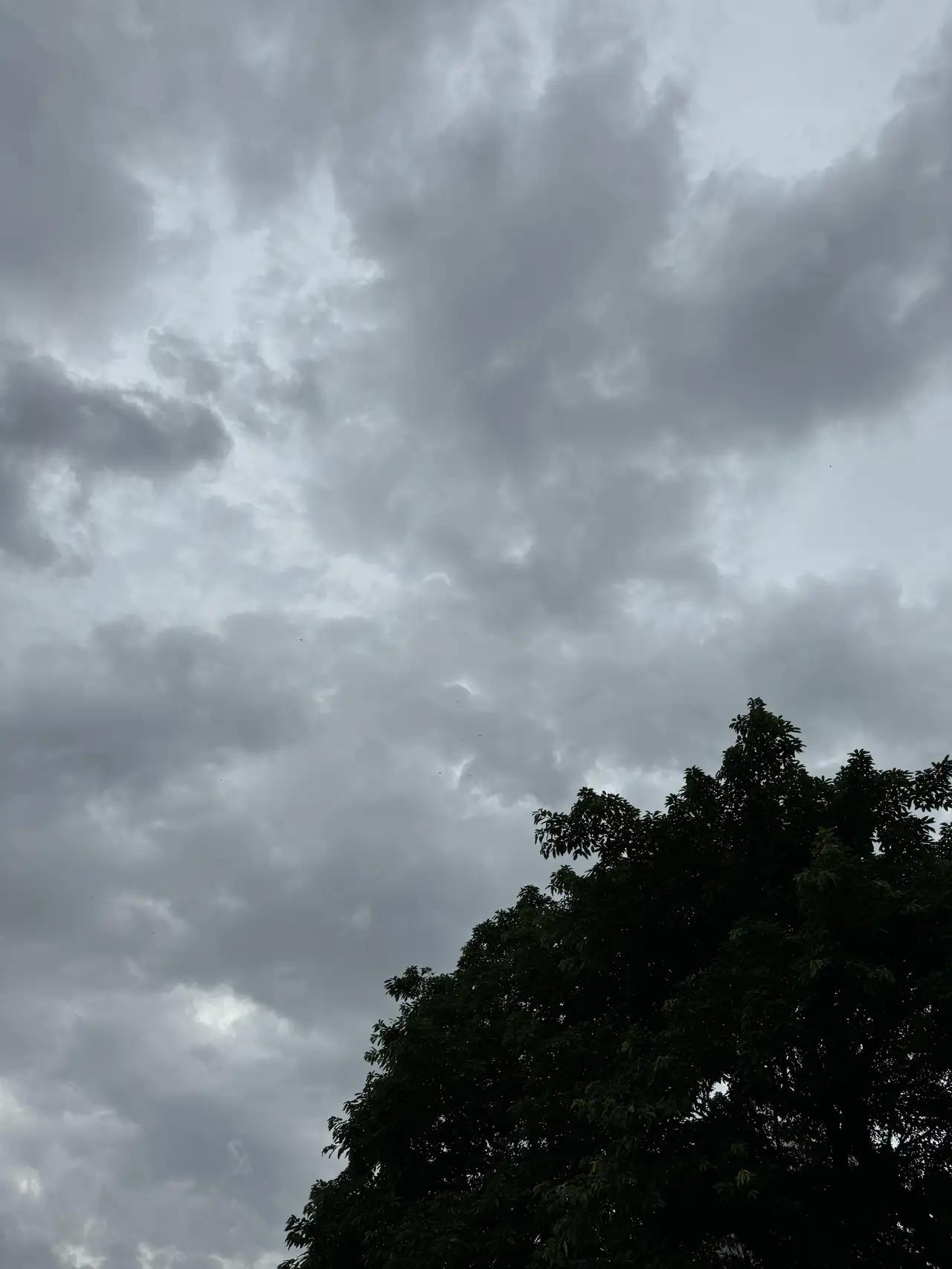 暴雨+雷暴+大风三连击！南方人的周末要被“泡汤”？别慌，这份“保命指南”正在刷屏