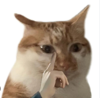 【元宵节卢凌风的娘遇到了薛绍】今天卢凌风的娘遇到了薛绍知识都学杂了，盘点了一下和