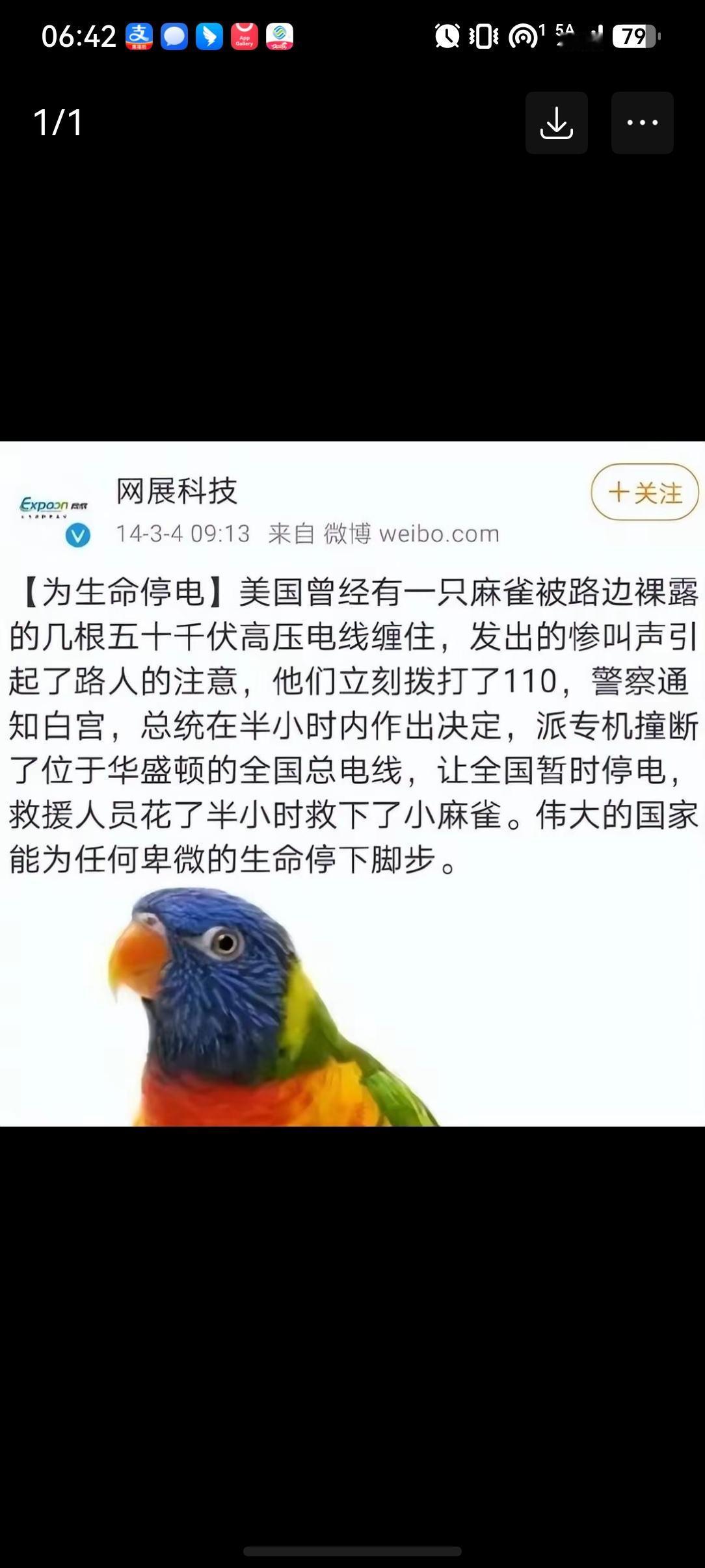 从大V卢克文的贴文下面截图过来的！
美国人曾经为了救一只被电线缠住的麻雀，而拨打