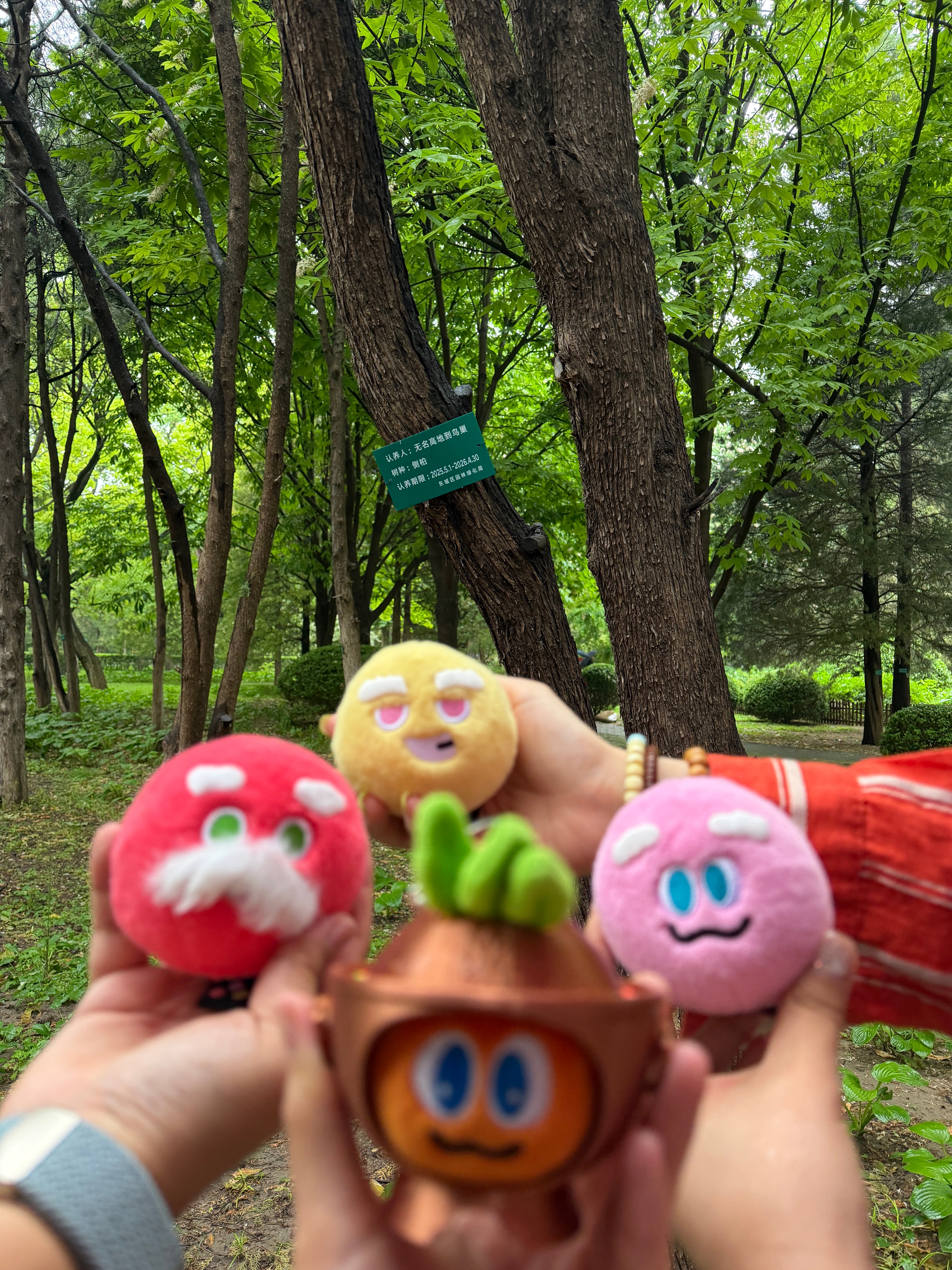五月天 地坛没有海 但是人生海海🦕🦖🥕🖐🏻我们为爱而生！！💙🖐🏻