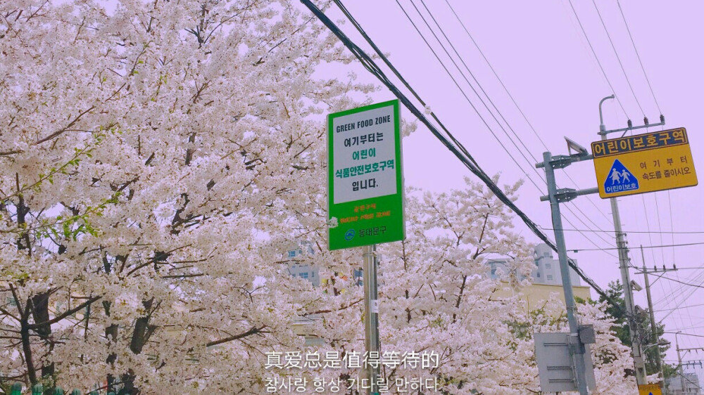 真爱是你能在平常的人身上看到永恒的美。｜齐泽克 ​​​