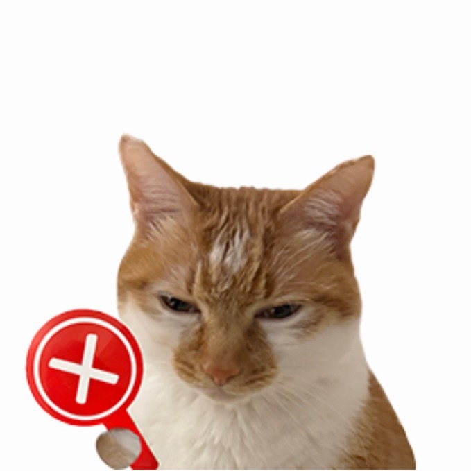 被扇耳光小学生家长说孩子有错在先原来校园霸凌的对象还包括老师