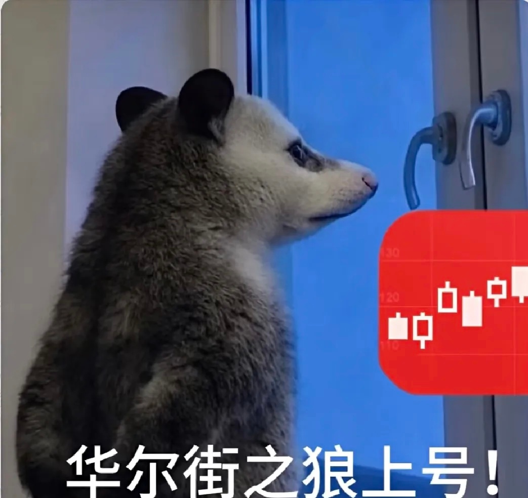 海通的业绩很炸裂。券商会不会有一轮大行情？其实，上半年市场虽说一般般，震荡格局为