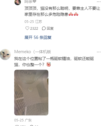 差点给你一屁股坐成猫饼了！ 