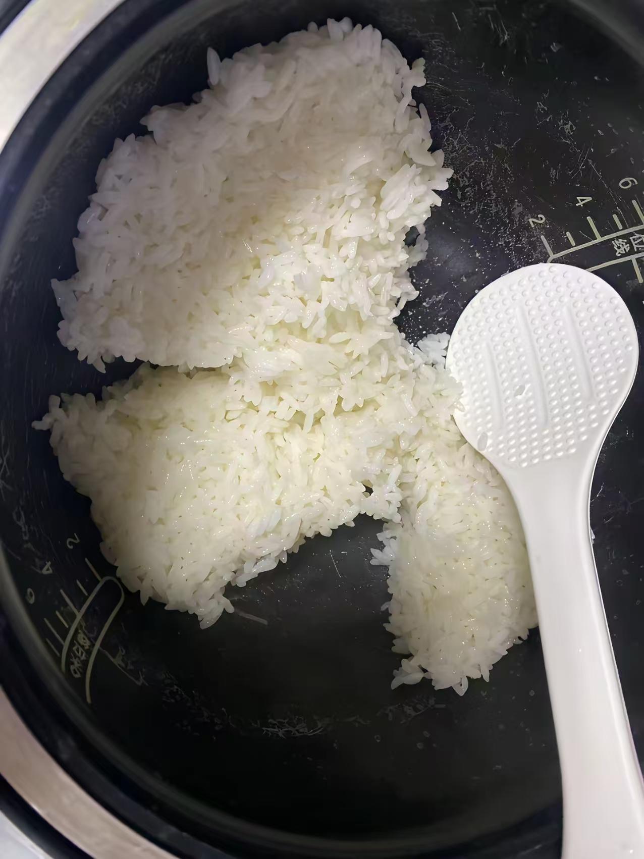 天天为了剩饭吵架，一口剩饭不吃。没有扔饭的，剩饭新饭一样吃，扔多了都得找回来，不