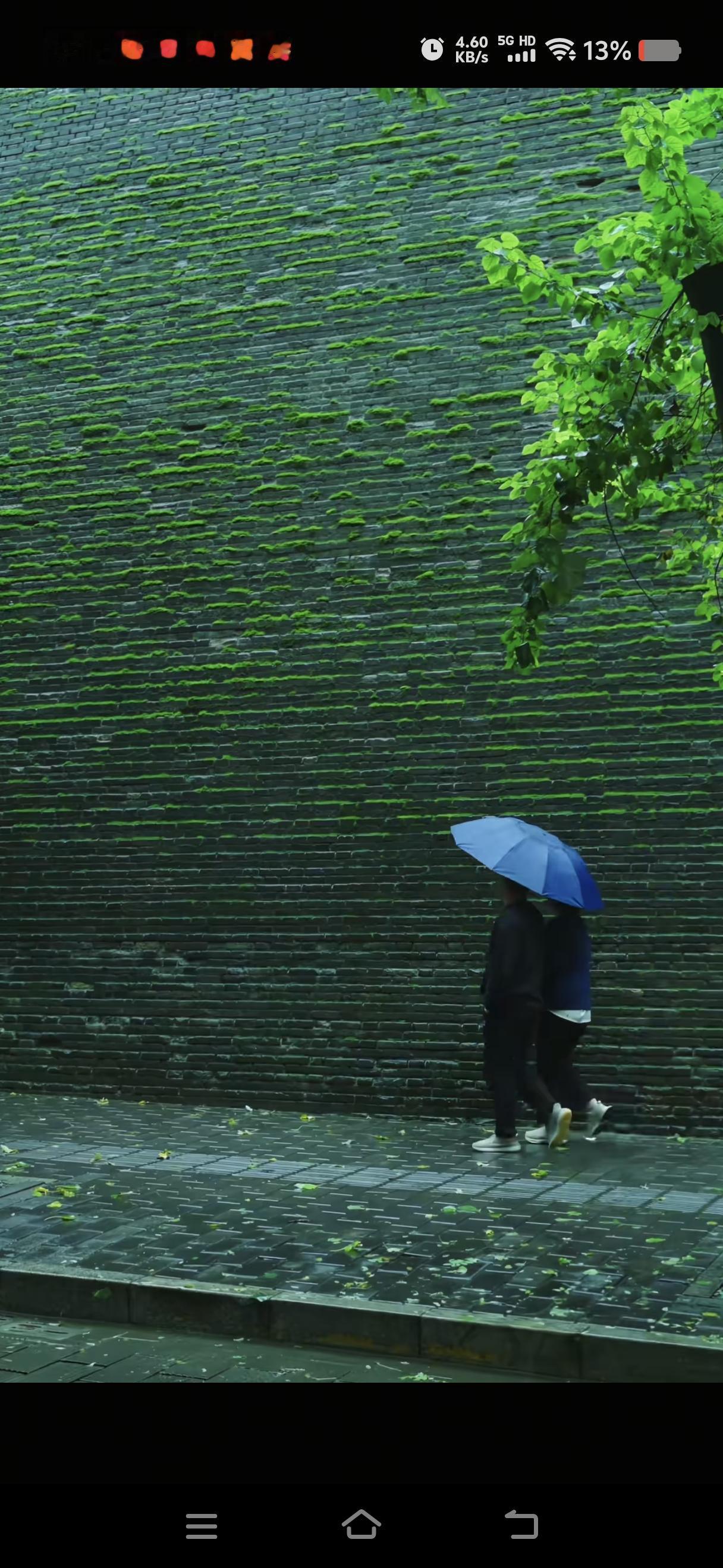西安阴雨连绵40多天，一生干燥的北方人终于湿透了。