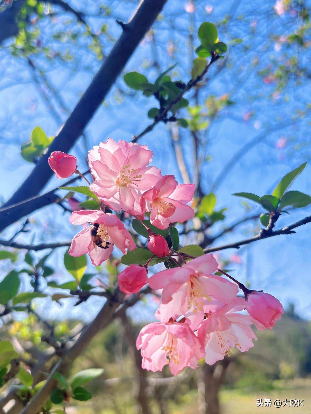 朋友们，听劝，2026年去生活！
今年我对“去生活”有新的理解，我分享给你。
其