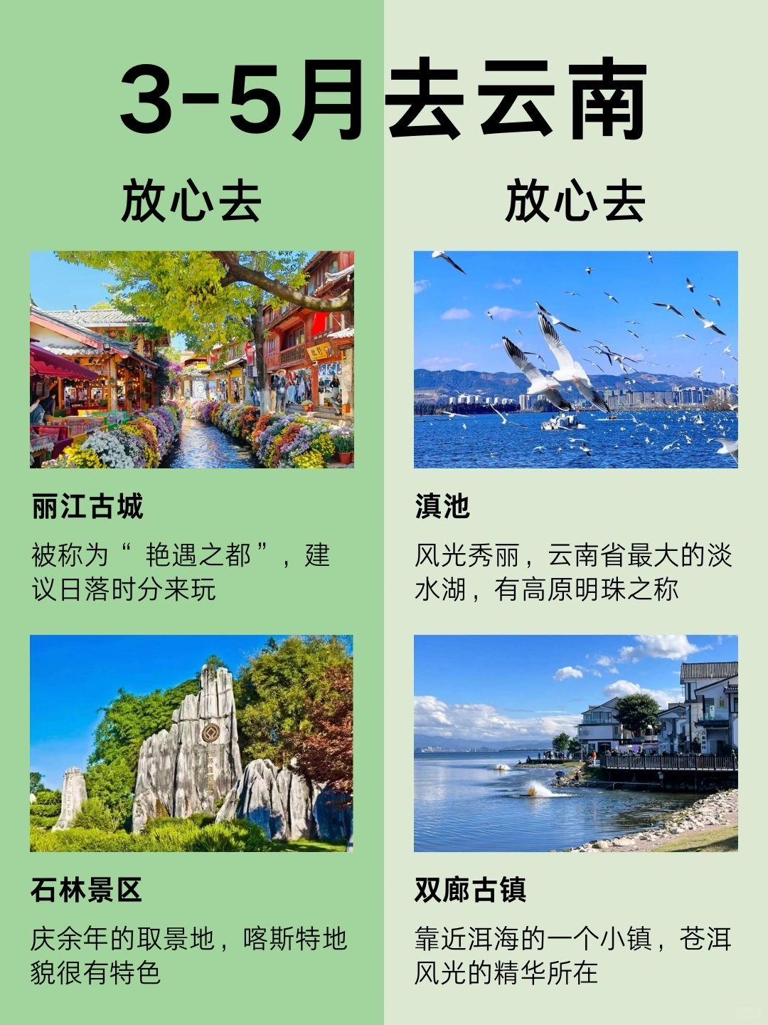 3～5月来云南旅游的姐妹们🤷认真看完码住