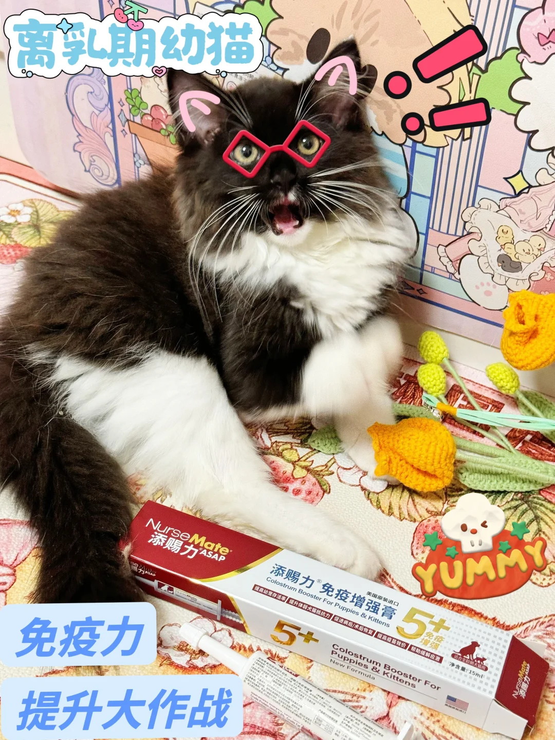 猫咪免疫力低下？一支搞定！