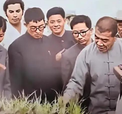 毛主席为啥把大寨和陈永贵捧得那么高？很多人以为是粮食打得多，其实大错特错！真正的