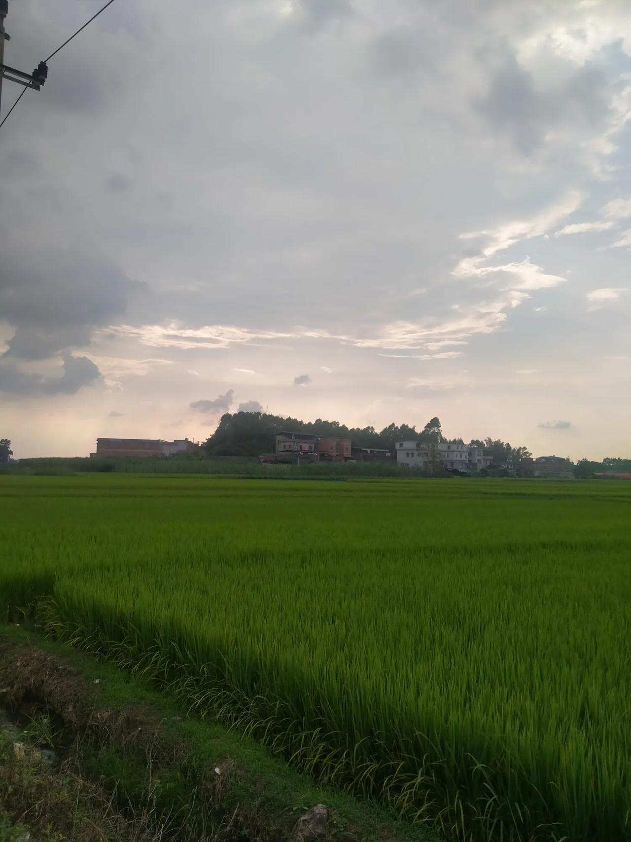 #周末放松时刻#周末之际，是给予自己的一份特别奖赏，让紧绷一周的身心得以彻底释放