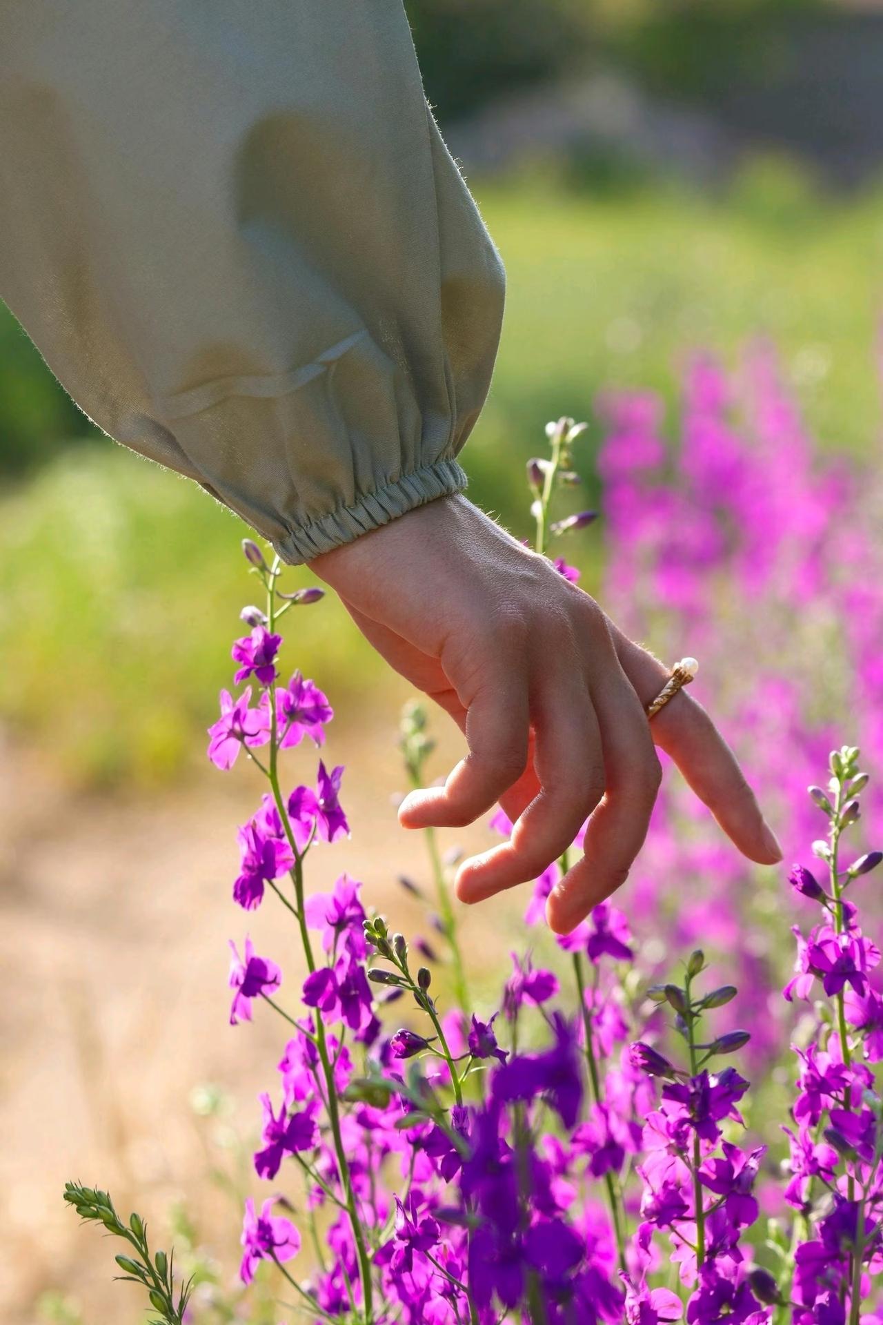 我们公司的副总今年40岁，年收入60万，跟老婆结婚15年了，家里有三个闺女，老幺