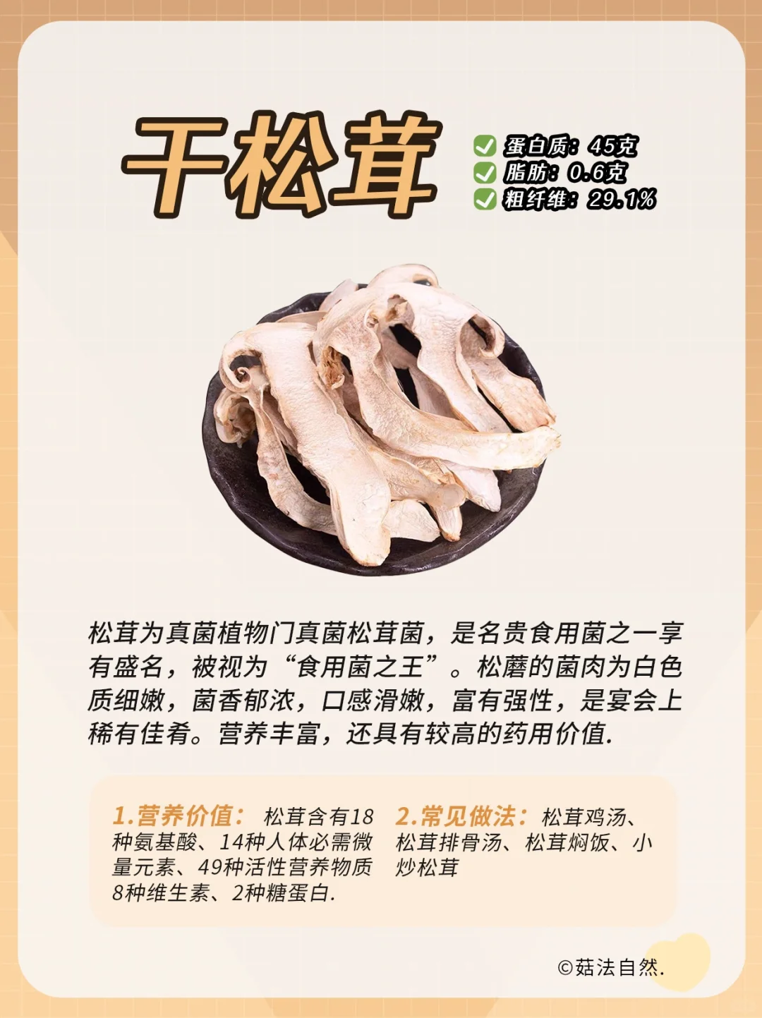 🔥每日菌菇科普——松茸❗️