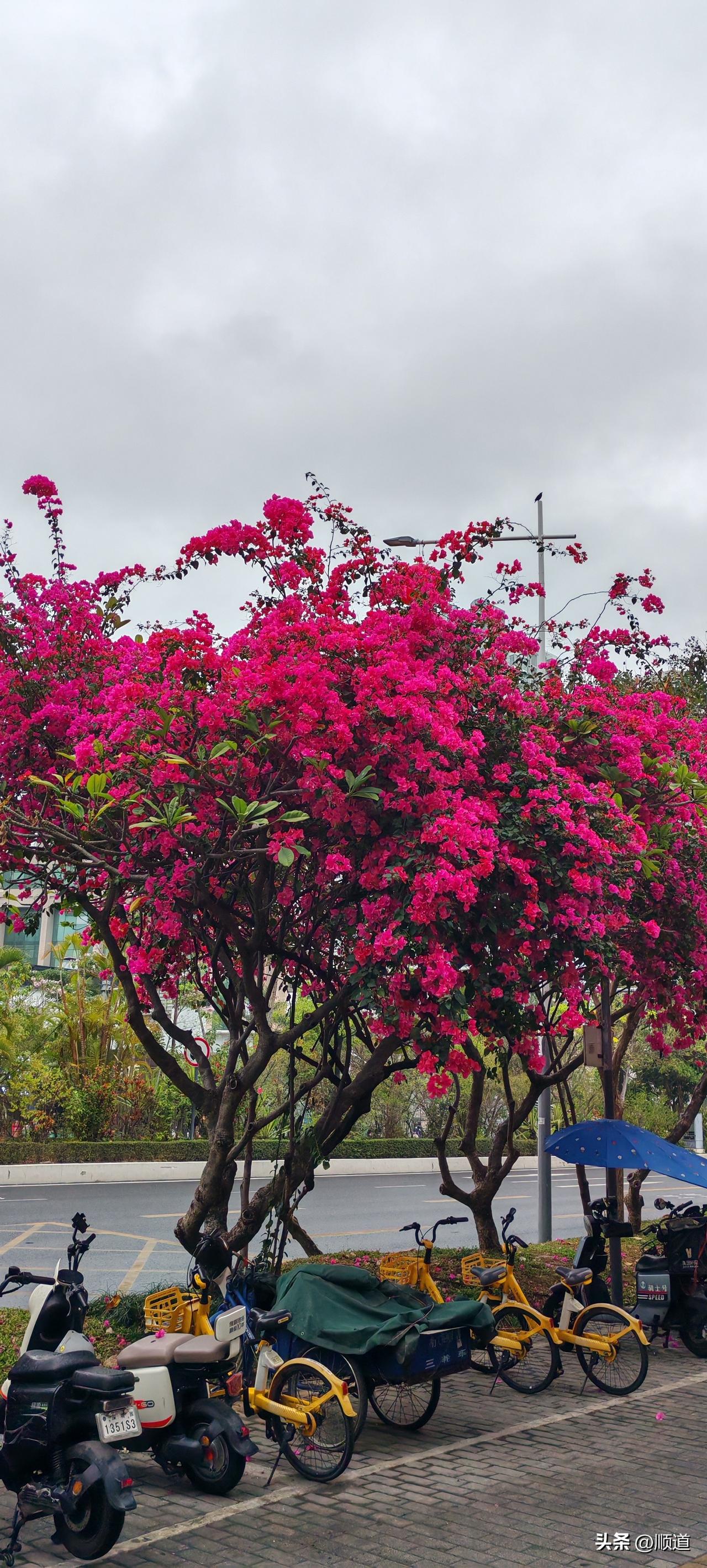 二婚过得好的少之又少，别看眼前你好他也好。
将时间线拉长你再看，一点小小的隔阂就