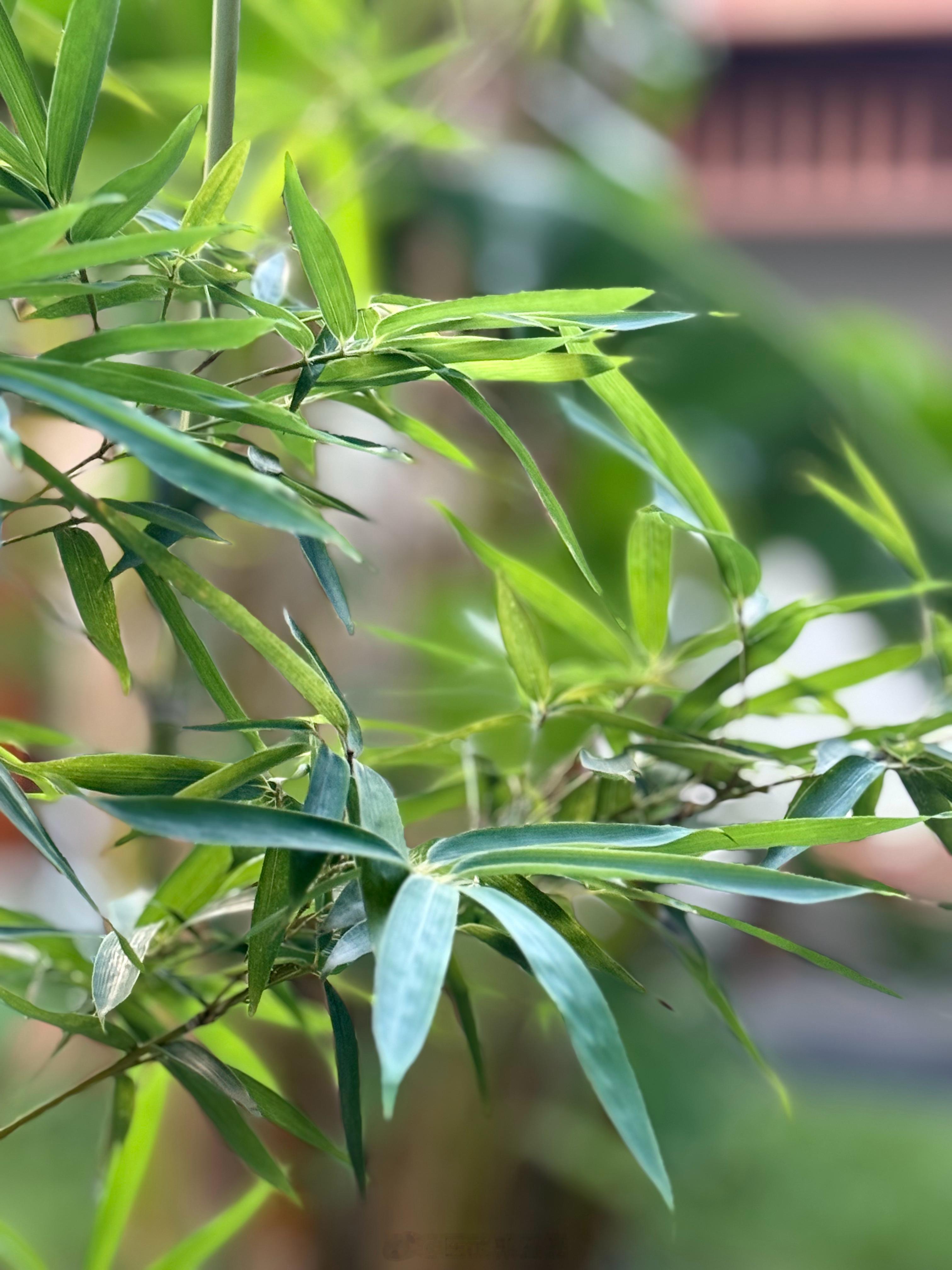 下班接诊，是一个累，又让人很有成就的事情。尤其是看到复诊的患者症状越来越轻，状态