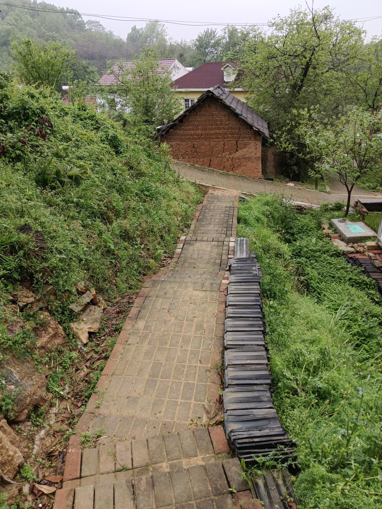 农村孩子上大学的意义在哪里？
  村东阿文的女儿，自上幼儿园起，每年都是两三张奖