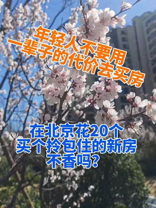 不要终身都为房子奋斗！