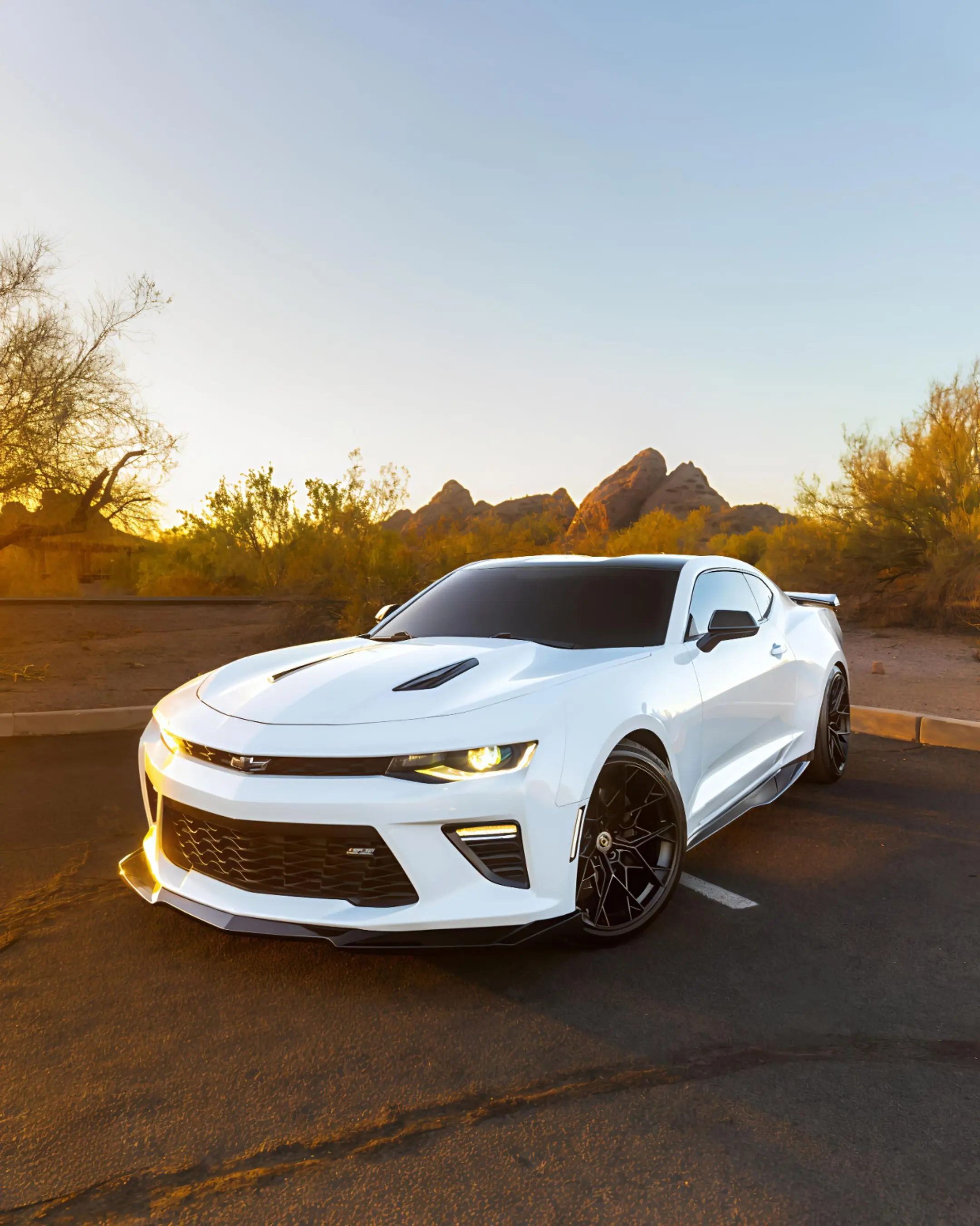 自由随性 科迈罗