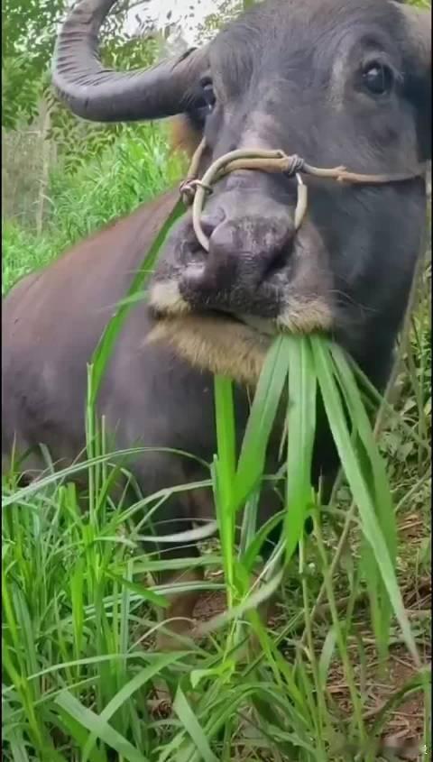 关于止盈和止损。止盈，对于止盈，我个人一般不设止盈，也没有严格的要求，只要股价的
