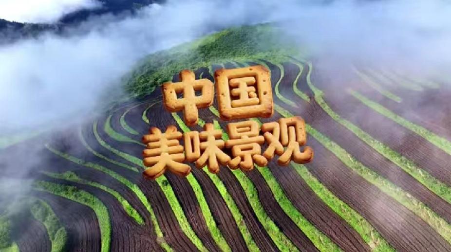 今天是4月22日“世界地球日”
中国美味景观在哪里？