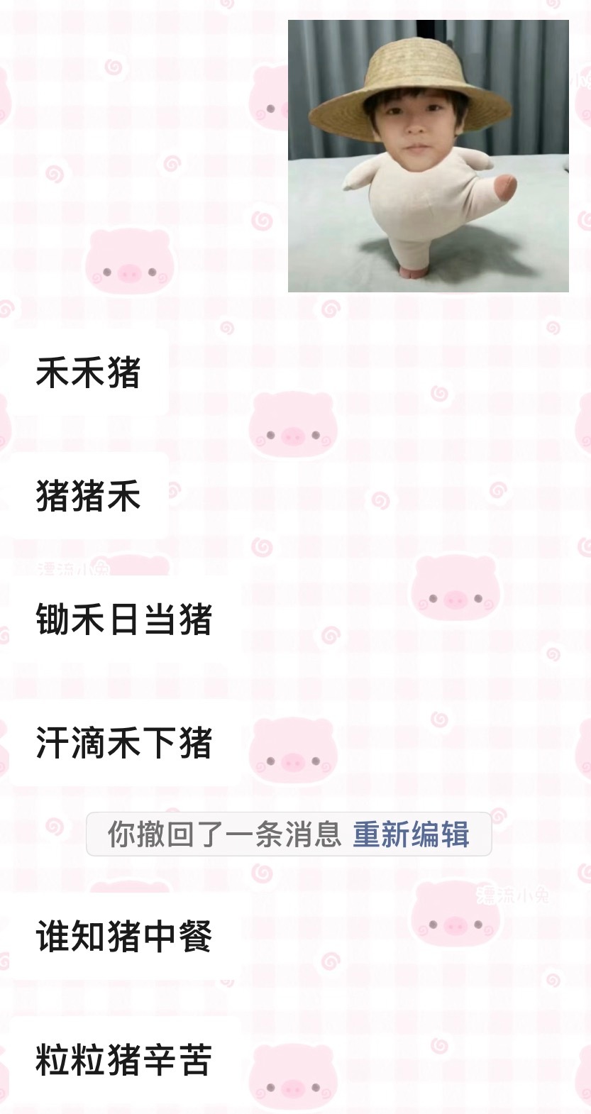 禾禾猪 