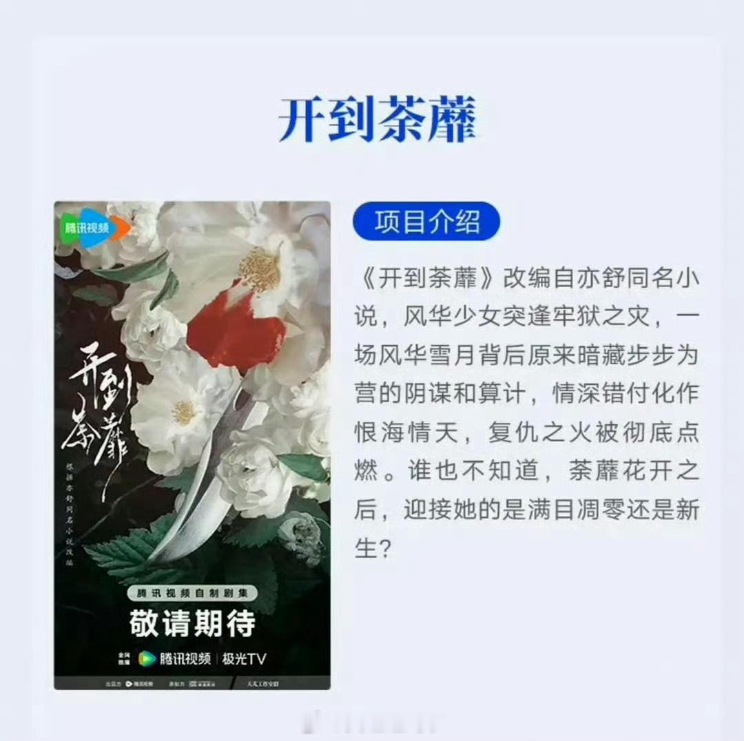 万事俱备只差好妆造 男的不重要