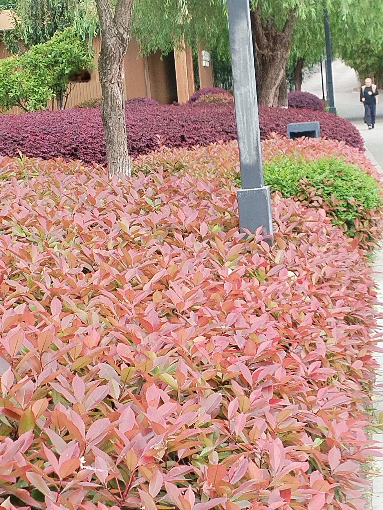 今年春天最想实现的心愿

春天，是万物复苏、生机盎然的季节，也是许多人心中充满希