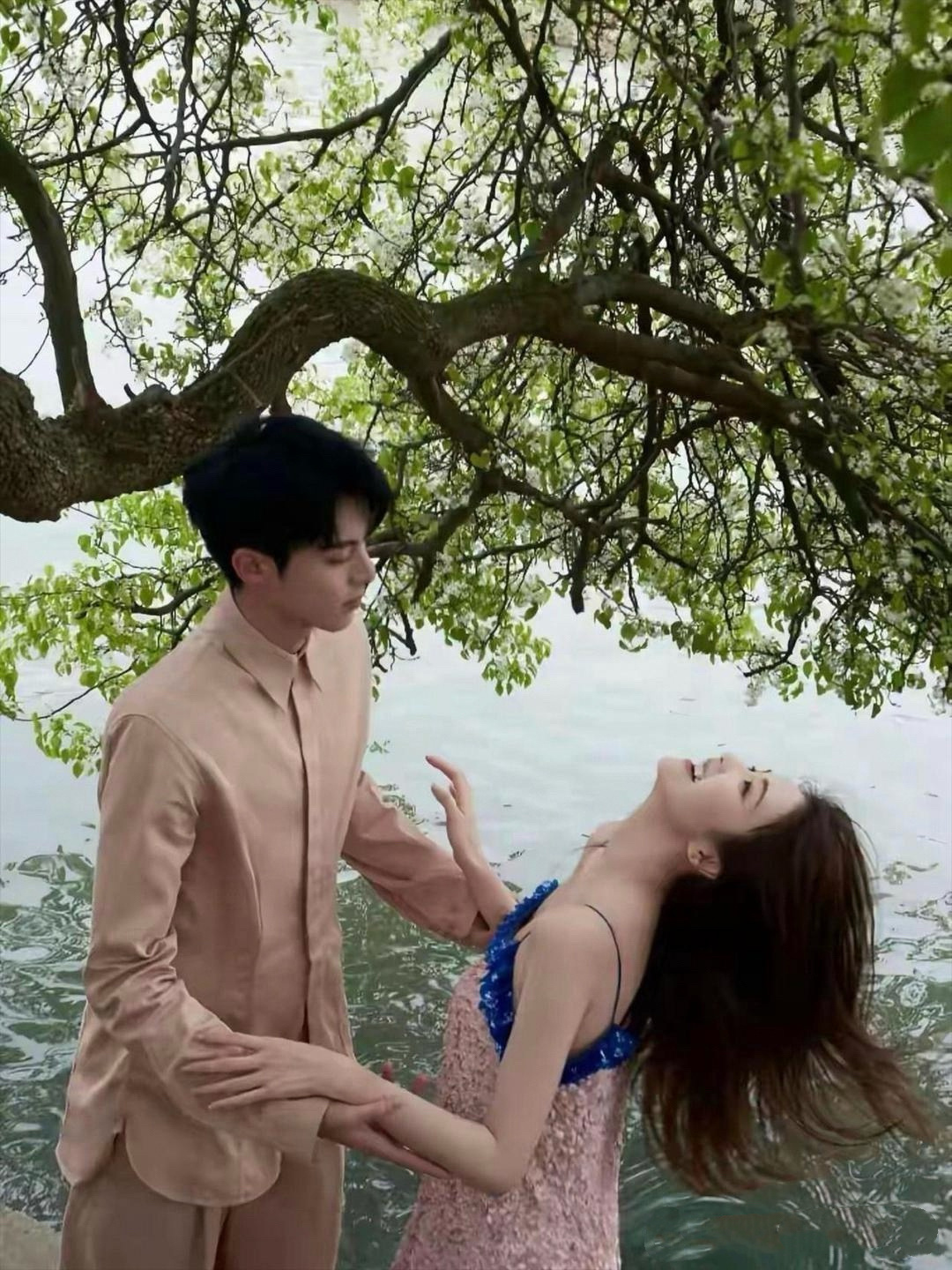 王鹤棣肯定对白鹿动过心吧 