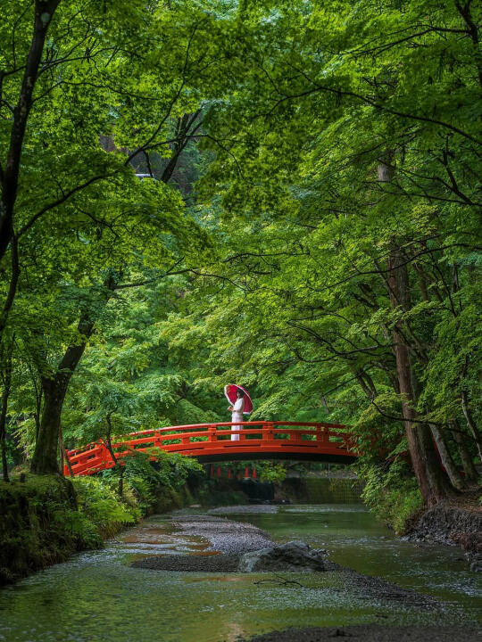 日本“小京都”！虽交通小复杂，但人巨少景超美