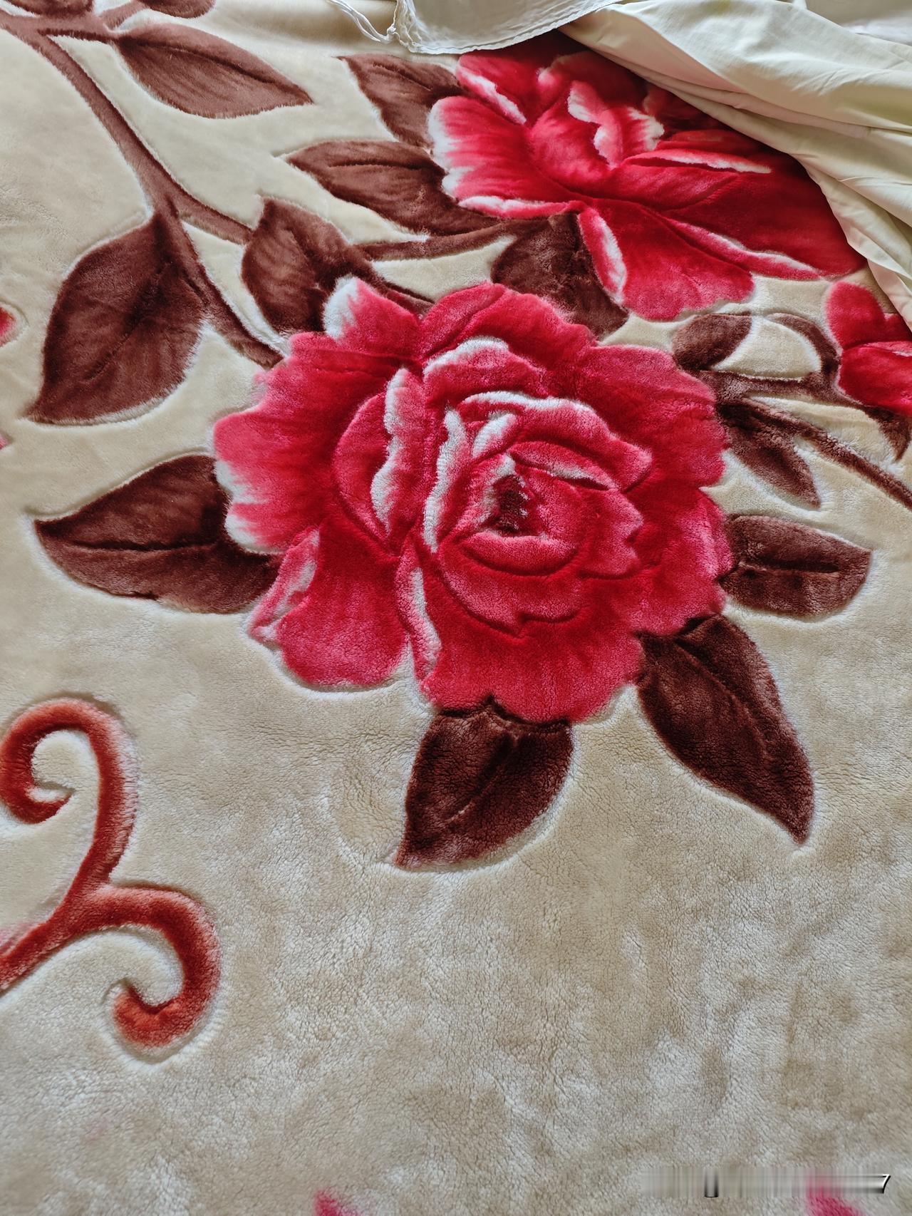 想变废为宝！
前两天刷视频，看一博主把毛毯一分为二，各加了一个里儿，成为了两个夏