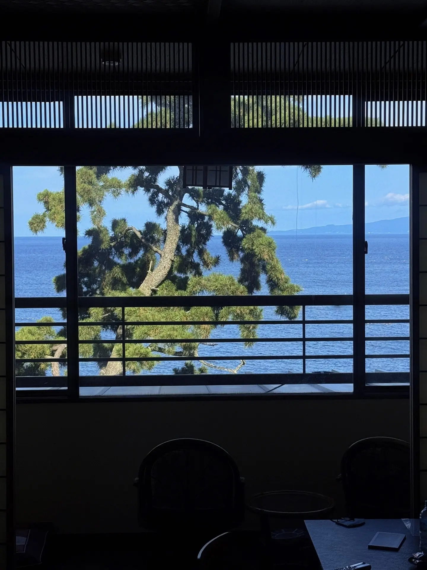在伊豆的尽头，听见太平洋的心跳声🌳🌊