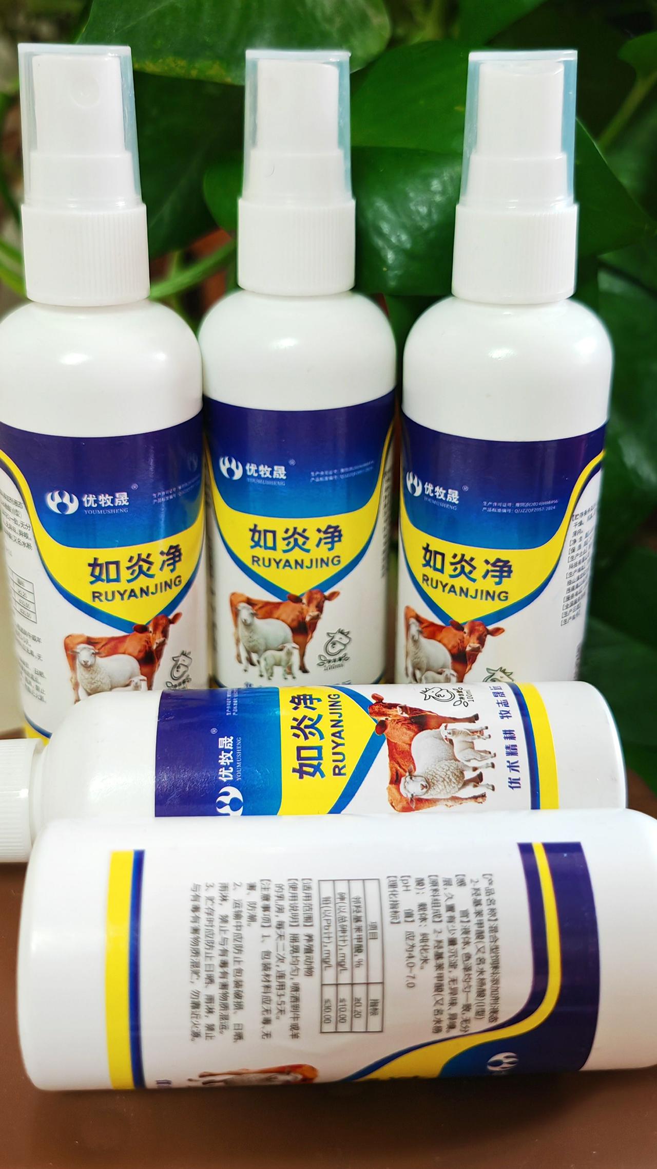 养羊 农村养羊 牛羊养殖