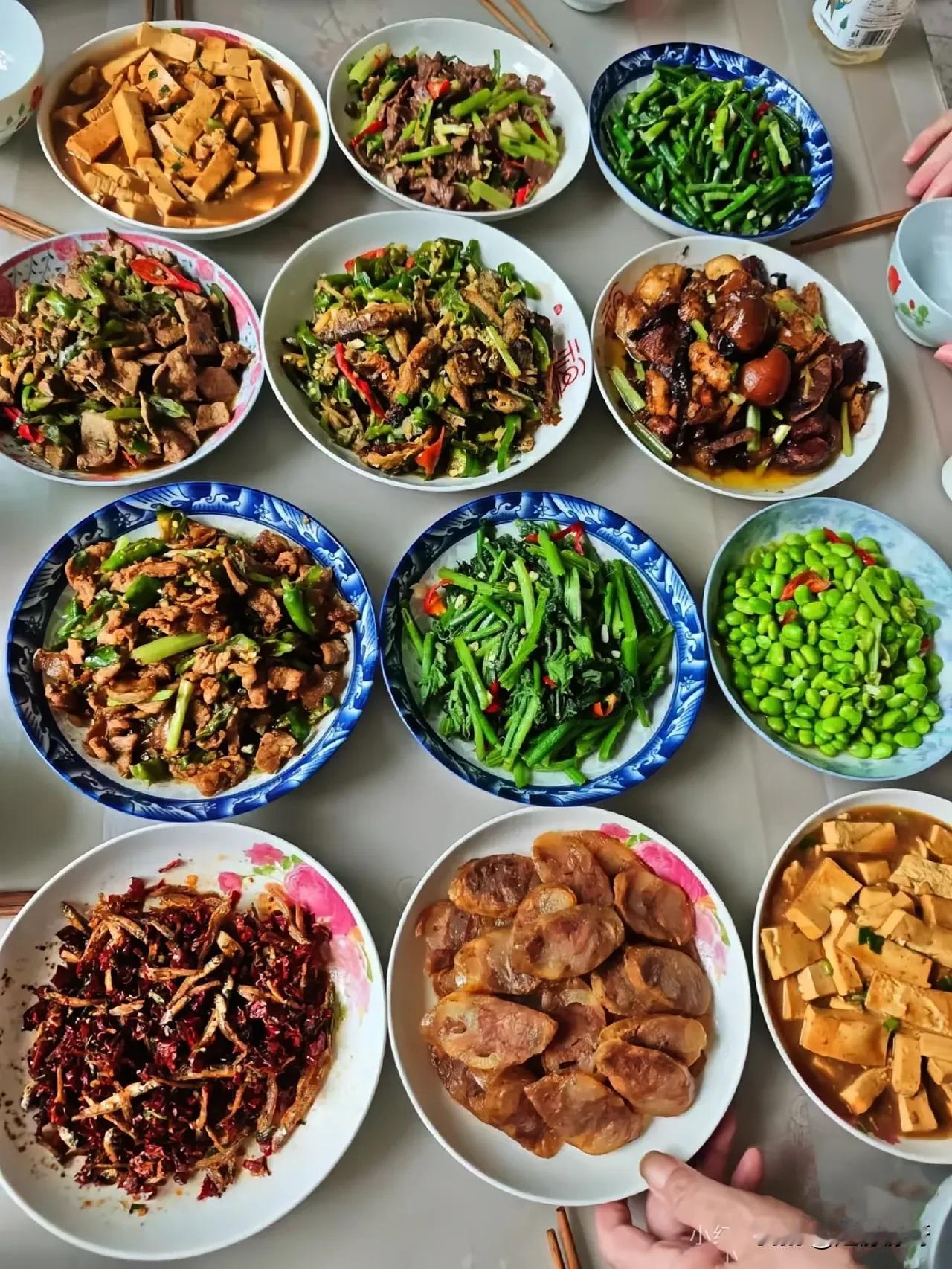 再也不想去大姨家吃饭了，大姨就准备了这些菜，都是些不值钱的菜，一个硬菜也没有，下