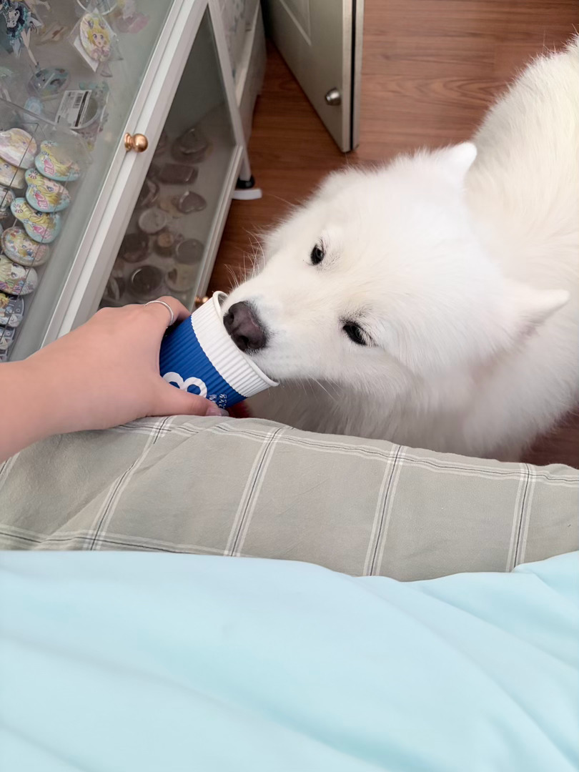 小斗小斗 ​​​