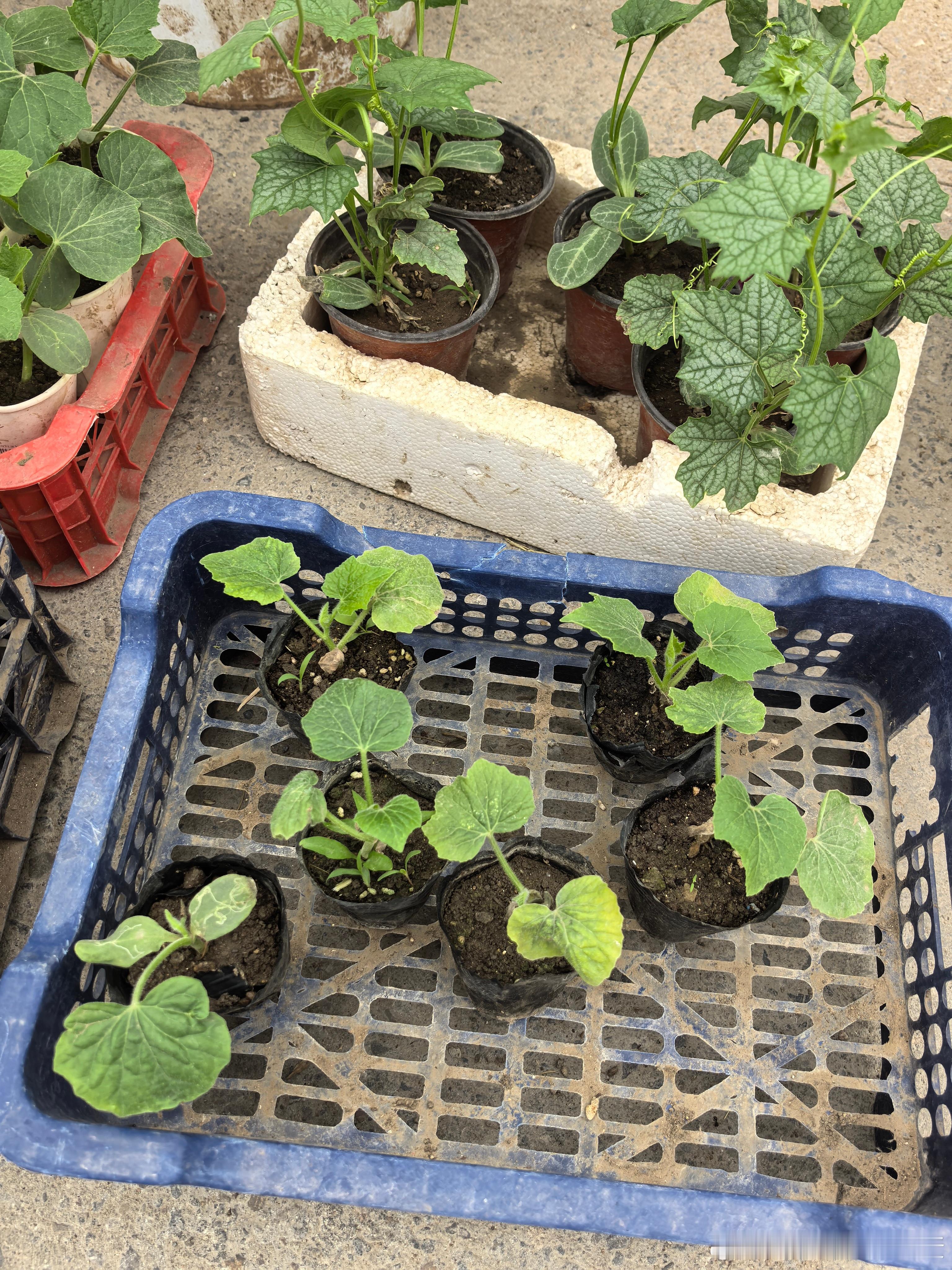 你把时间花在哪里，人的花就开在哪里，不要东张西望，看见别人发光，就觉得自己暗淡，