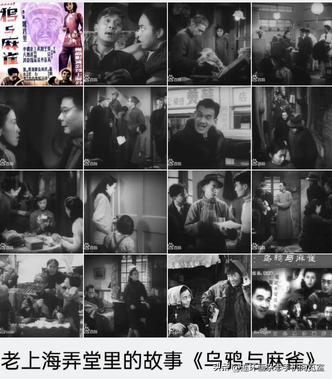 微杂志〔《乌鸦与麻雀》龟蝽〕