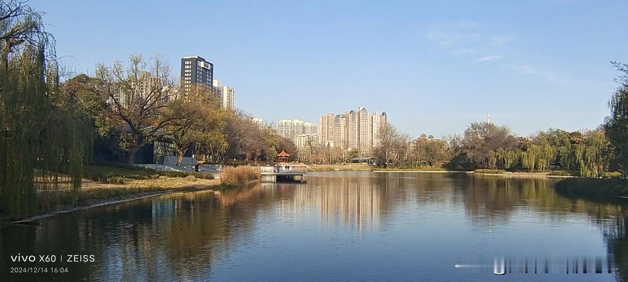 分享随手记录冬日风景