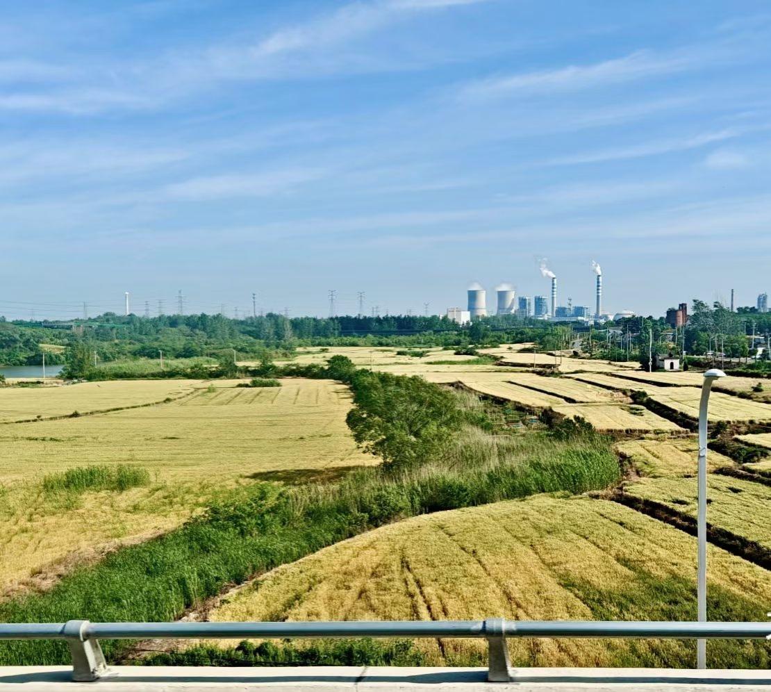 晒图笔记大赛风掠过初夏的田野，金色麦浪在晴空下翻涌，远处的烟囱与稻田同框，是工业