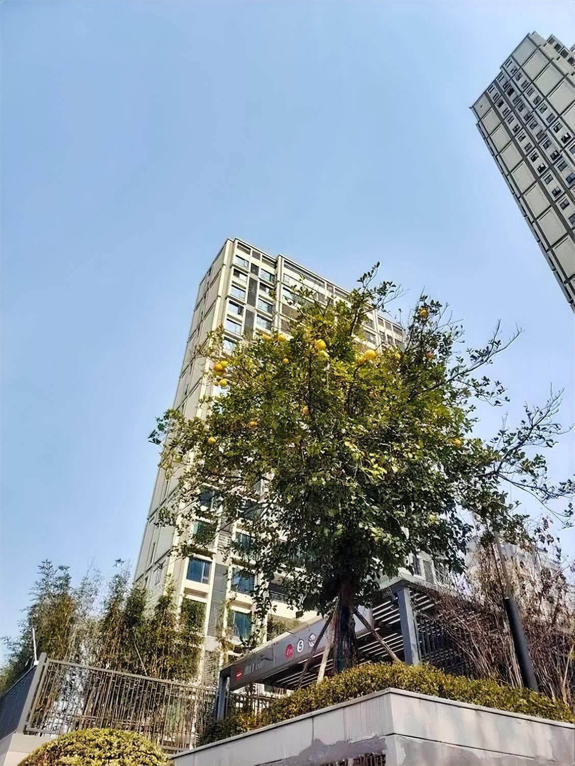 你认识李洪涛吗？

他是浙江大学毕业的高材生！

如果你认识他，你就知道学习的重