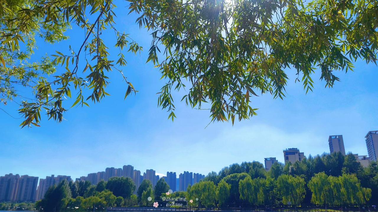 或悲或喜，它都成了一种消遣方式，也习惯性的借用它来发个视频记录一下每次的不同，入