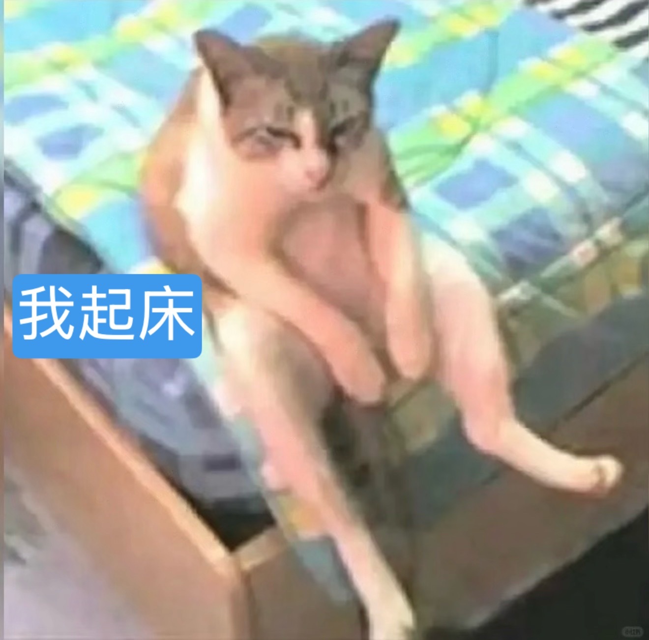 左航演我每天刚起床搞什么 我起床哪有这么好看哦🙄 
