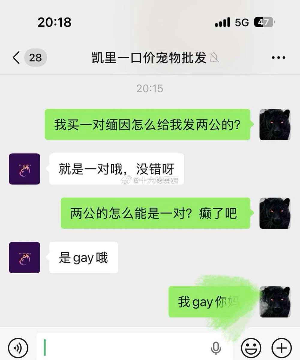 我买一对缅因怎么给我发两公的?是一对哦gay来的