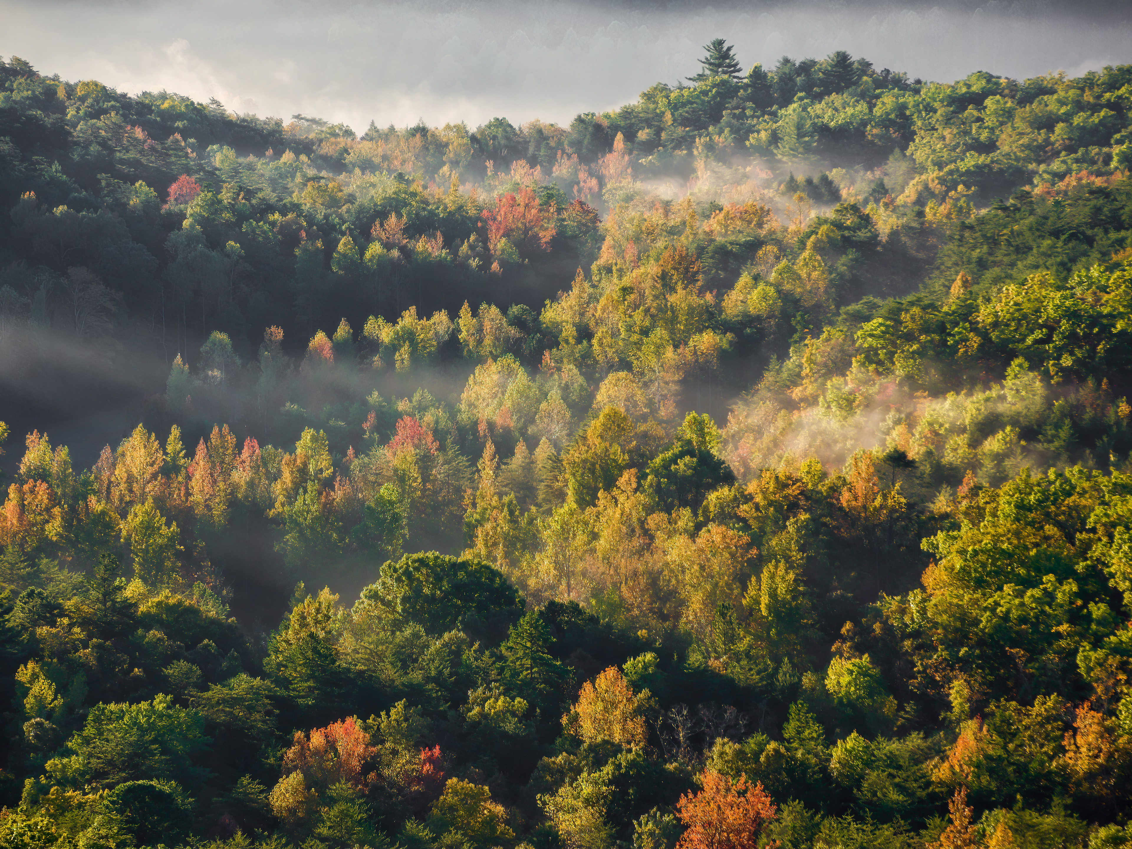 人其实也跟植物似的，  找到适合自己生存的土壤环境，  才能枝繁叶茂，才能硕果累
