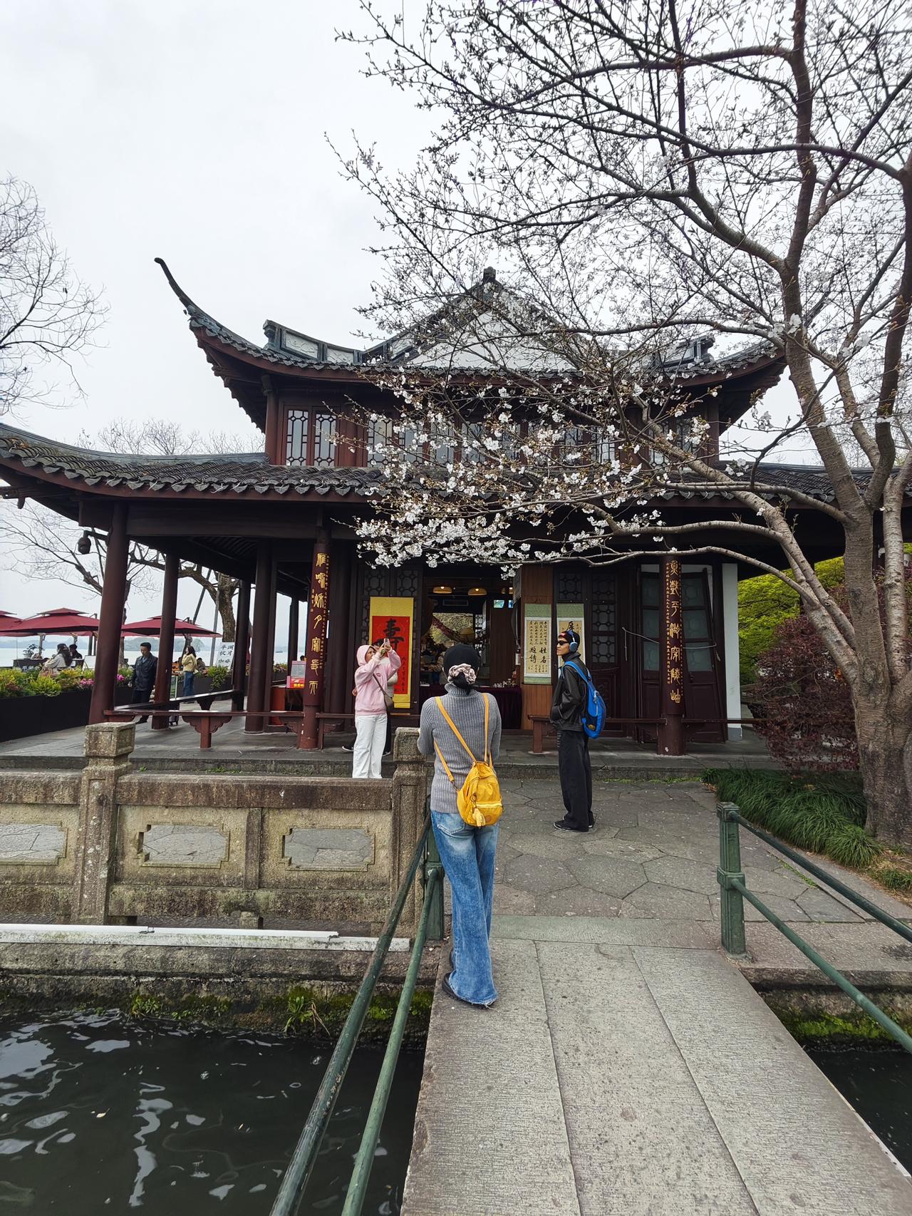 双飞燕子几时回？夹岸桃花蘸水开。
春雨断桥人不度，小舟撑出柳荫来。

西湖白堤的